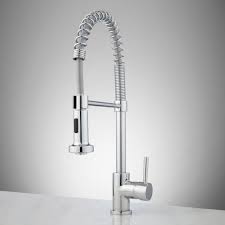 portnoy kitchen faucet with spring