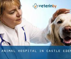 Animal Hospital in Castle Eden