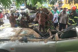 Suami isteri cedera selepas kereta dinaiki dihempap pokok tumbang di jalan batu rakit bersebelahan sekolah tinggi klang di sini, tengah hari semalam. Pokok Tumbang Hempap Kereta Pemandu Maut Astro Awani