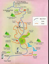 (r̶m̶ ̶2̶3̶7̶) rm 197 for century pines resort cameron highland, cameron highlands. Percutian Famili Ke Cameron Highlands Pahang