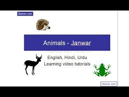 Meaning Of Urdu Word Mayra کامل متن