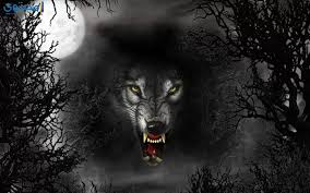 We did not find results for: Ø®Ù„ÙÙŠØ§Øª ÙˆØµÙˆØ± Ø°Ø¦Ø§Ø¨ Ø¬Ù…ÙŠÙ„Ø© Wolves Ù…ÙˆÙ‚Ø¹ Ù…Ø­ØªÙˆÙ‰