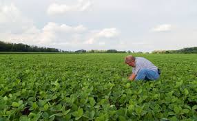 Image result for law of the farm