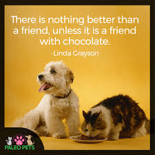 Friendship is a relationship that we get to choose. Pin On Cute Pets