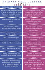 Maybe you would like to learn more about one of these? What Is The Difference Between Primary Cell Culture And Cell Line Pediaa Com