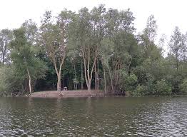 Peche A La Carpe Somme Etangs Lacs Prives Publics Passion Carpe