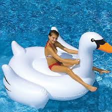 Check spelling or type a new query. 150cm Pool Inflatable Toys Flamingo Swan Swimming Pool Float Beach Giant Pool Ring Holiday Fun Inflatable Toy For Adult Kids Pool Giant Inflatables For Kidsgiant Inflatable Toy Aliexpress