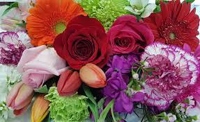 We did not find results for: Evans Flowers Home Facebook