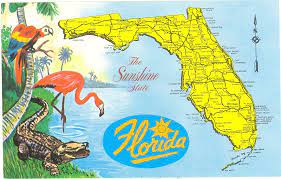 Buy and sell on the leading online auction platform. Vintage Florida Postcards