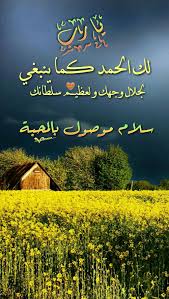 pin by ranya anis on صباحيات و مسائيات morning images morning greeting good morning