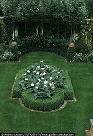 This Is Buxus Microphylla Japonica Boxwood With Zantedeschia Aethiopica White Giant Calla Lily Aeth White Flowers Garden Formal Garden Design Boxwood Garden