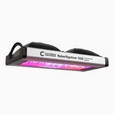 We did not find results for: How Effective Are Led Grow Lights Feedsportal Com