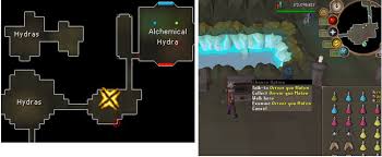 Hydras attack with both ranged and melee, depending on how far away the enemy is. Oldschool Runescape Osrs Killing Alchemical Hydra Effective Strategy Food4rs