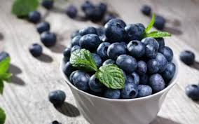 Resultado de imagen de arandanos