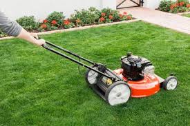 Do not wait until the next day. How To Care For New Sod Hgtv