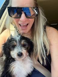 My mom lost her dog sometime between last night at the Holiday Inn express  to last night around 3121 Bankhead Drive, LR. *Note