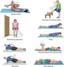 How to sleep with piriformis syndrome. Piriformis Syndrome And Pudendal Neuralgia Springerlink