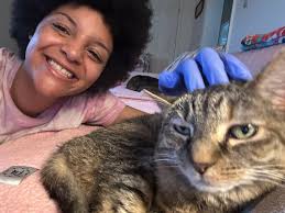 Where to find a solid white or clear umbrella in North Attleboro?