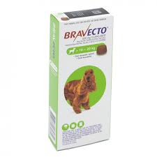 Hi my name is jesse and i like to play with my dog. Pet Heaven Buy Bravecto Online In South Africa Bravecto Medium Dog 10 20kg Chewable Tick Flea Tablet Pet Heaven Online Pet Store