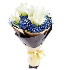 Father day unique flowers delivery across india. Buy Father S Day Gifts Flowers Plants Hampers Free Singapore Delivery