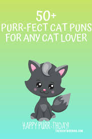 Share the best gifs now >>>. 50 Hiss Terically Purr Fect Cat Puns For Any Cat Lover