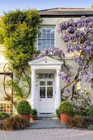 Stay In The Wisteria Covered Rosemoor House Wisteria Wisteria Trellis Wisteria Tree