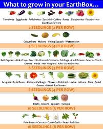 Planting Guide For My Earthboxes Vegetable Garden Edible