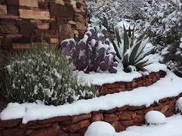 Compare current temperatures from each mountain or click the weather icon for a full report and weather forecast. Phoenix Drops To 30 Degrees Coldest Temperature Since 2013 National Weather Service Says