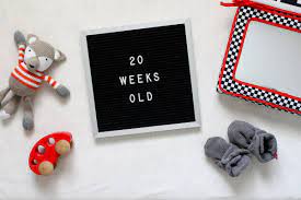Your 20 Week Old Baby