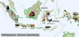 Flora di indonesia bagian barat didominasi oleh vegetasi hutan hujan tropis yang selalu basah. Persebaran Flora Dan Fauna Di Indonesia Barat Tengah Timur Salamadian