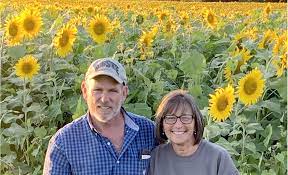 Ferrari farms was established in 1912 by dominico and caterina ferrari. Too Much Rain Plant Sunflowers The Press