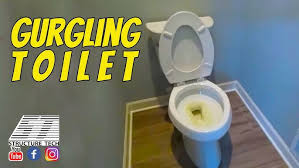 Nov 12, 2020 · why does the toilet gurgle? Gurgling Toilet In A Maple Grove Home Inspection Youtube