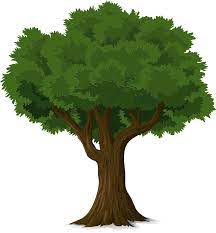 Como Dibujar Un Arbol Con Ramas Archivos Enterate Aqui