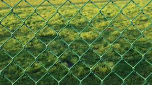 Different landscape conditions serve different fence material as well. How To Build A Fence For Your Garden A Full Guide Gardening Tips