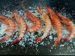 Gambas De Formentera Listas Para Ser Preparadas En La Plancha Mmm
