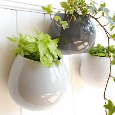 Ceramic Wall Hanging Plant Pot Hanging Plants Wall Hanging Plant Pots Hanging Pots