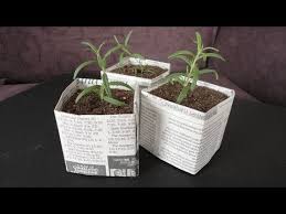 Cardboard box containers these days, the cost of container gardening can really add up. Diy Newspaper Pots For Seed Starting Cuttings Youtube