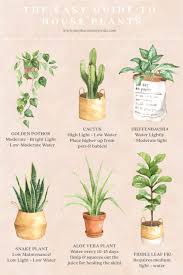 An Easy Guide To House Plants Easyhouseplants An Easy Guide To House Plants Plants Easy House Plants House Plant Care