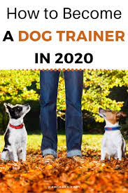 3 Steps To Become A Dog Trainer In 2021 Become A Dog Trainer Dog Trainer Professional Dog Training