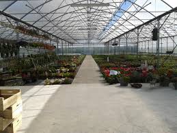 Check spelling or type a new query. Horticulteurs Indre Et Loire 37 Plantes Et Produits Du Jardin En Vente Directe Producteur