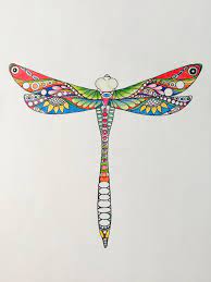 Use a red colored pencil to add the major veins of the wings and a suggestion of the smaller veins. Images Of Color Dragonfly Wings Drawing