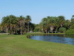 bosque da barra barra rj rio de janeiro rio