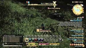 Let's Play Final Fantasy XIV - 30 - lvl 10 - Anoles and their eggs - YouTube