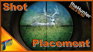 Perfect Shot Placement Guide Thehunter Call Of The Wild 2017