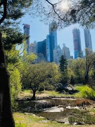 Nature vs city illustrations & vectors. Nature Vs City Mostbeautiful