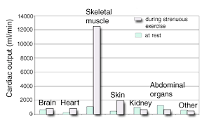 Exercise Physiology Cardio Cns Contribution