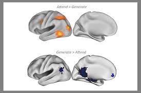 But he figures that if a perfect lie detector were developed, that practical. Stanford Scientists Show Fmri Memory Detectors Can Be Easily Fooled