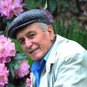 Latif Family Obituaries