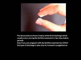 Pin On Faq Of Fertility Treatments