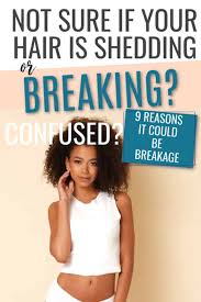 Is your hair already brittle and damaged? How To Stop Hair Breakage And Shedding 9 Tips To Help You Out Curls And Cocoa